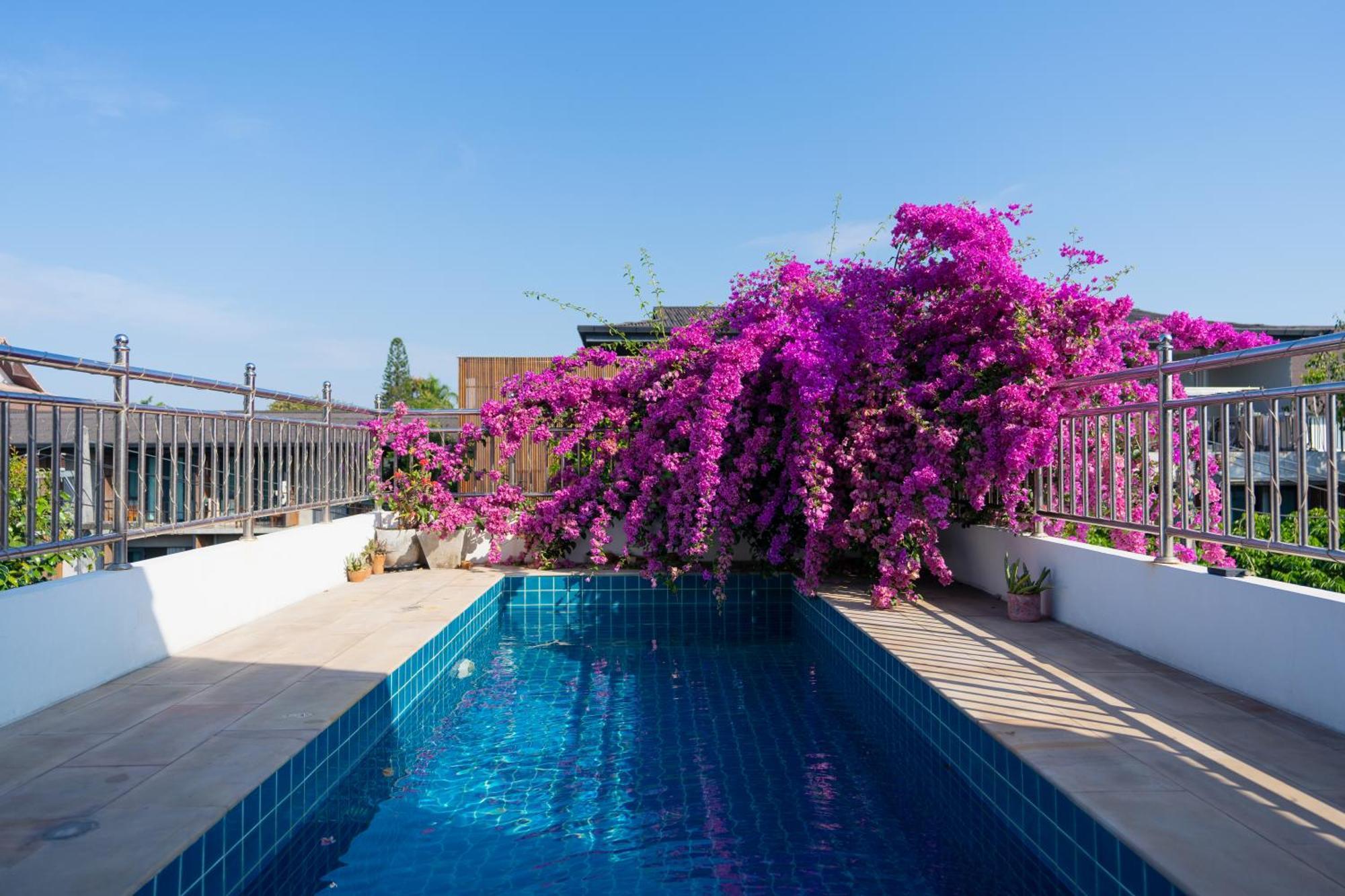 Mammoth Art Studio Pool Villa In Old City Chiang Mai Exterior photo